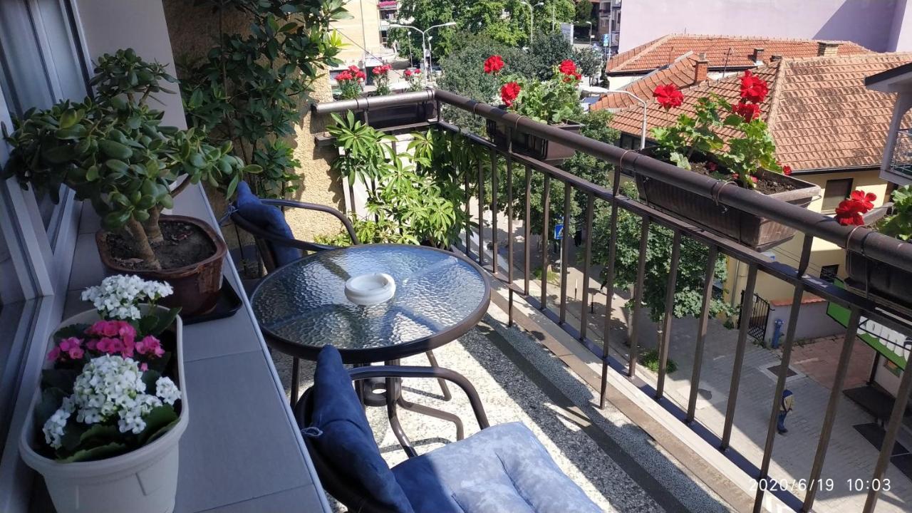 Apartman Rada Pirot Eksteriør bilde